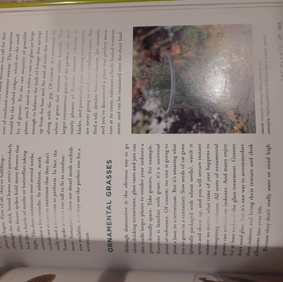 Plant book THE NEW TERRARIUM  CREATING BEAUTIFUL DISPLAYS FOR PLANTS AND NATURE - Picture 7 of 13